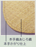eB100\